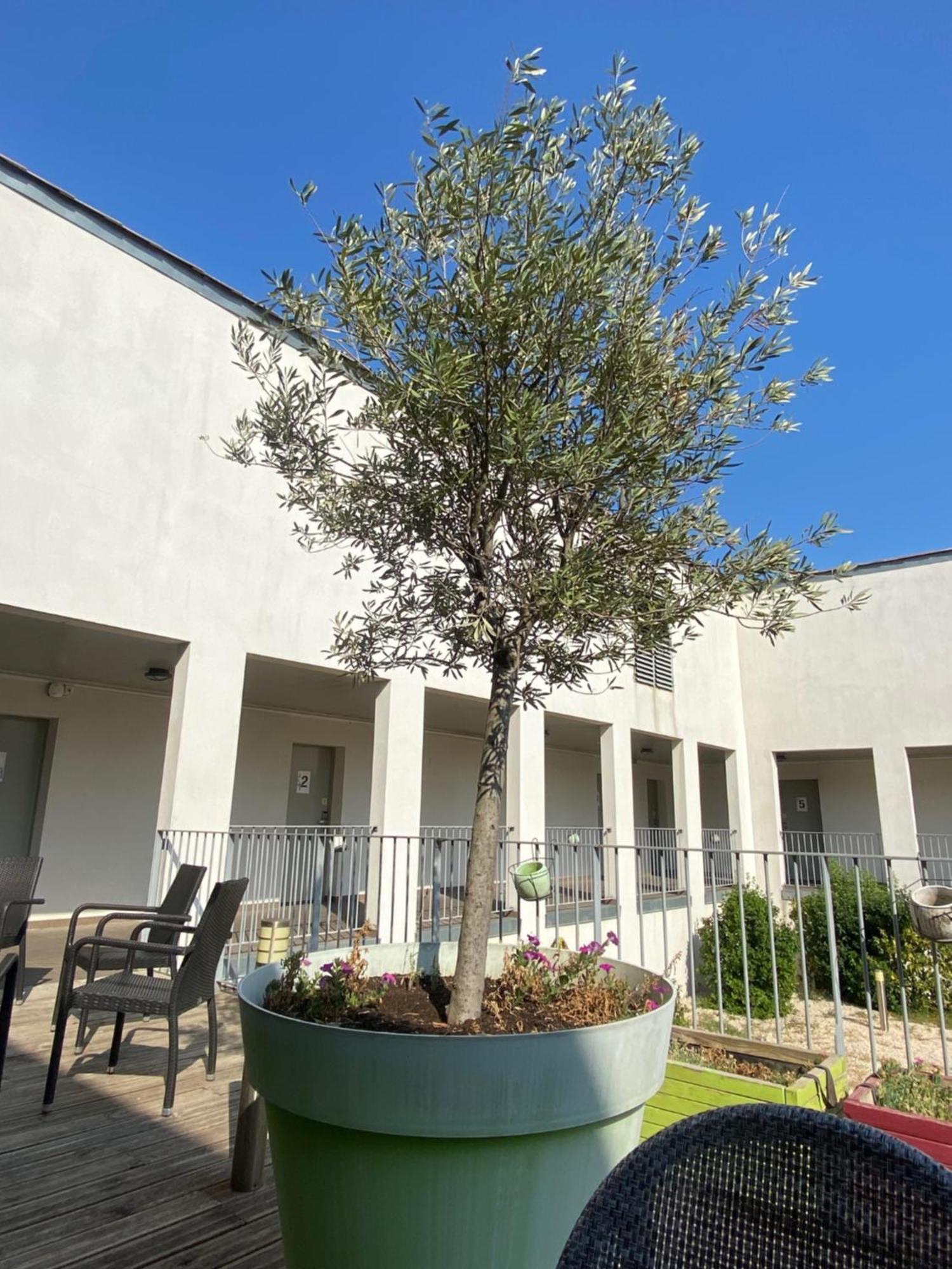 Hotel Douce France Cuxac-dʼAude Exterior foto